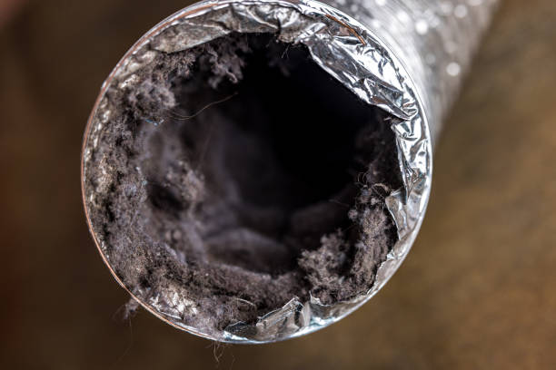 Ventilation Cleaning Services in Thonotosassa, FL