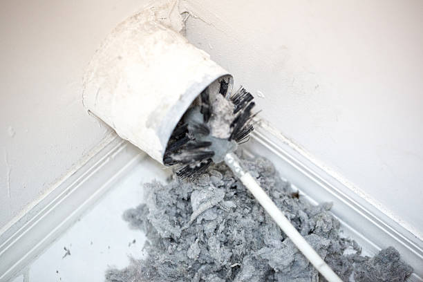 Reliable Thonotosassa, FL Airduct Cleaning Solutions